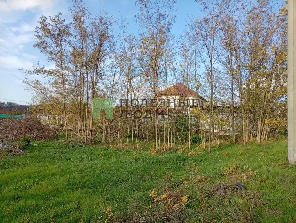 Участок в Краснодарский край, Новороссийск городской округ, ... - Фото 1