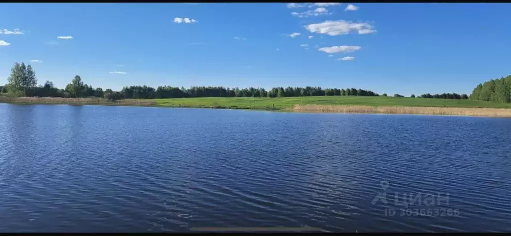 Участок в Московская область, Клин городской округ, д. Милухино  (10.0 ... - Фото 1