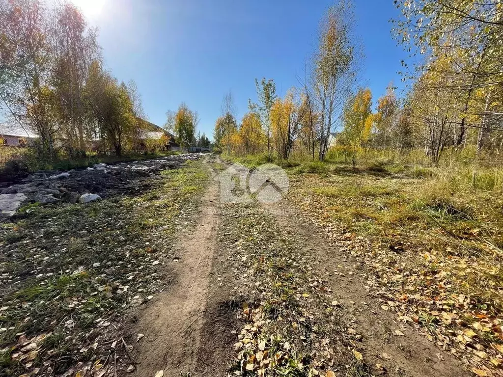 Участок в Новосибирская область, Искитимский район, Мичуринский ... - Фото 1