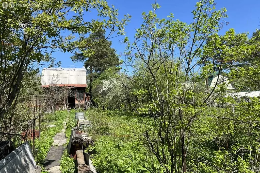 Дом в Свердловская область, Белоярский муниципальный округ, село ... - Фото 1