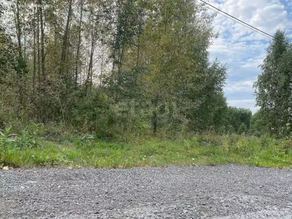 Участок в Тюмень, ДНП Звенящие Кедры Тюмени (39.04 м) - Фото 2