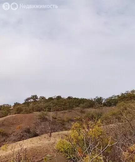 Участок в Рыбачье, Дачная улица (15.5 м) - Фото 1