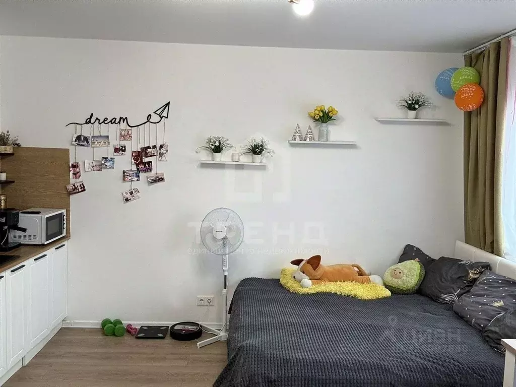 Студия Ленинградская область, Всеволожский район, д. Новое Девяткино ... - Фото 1