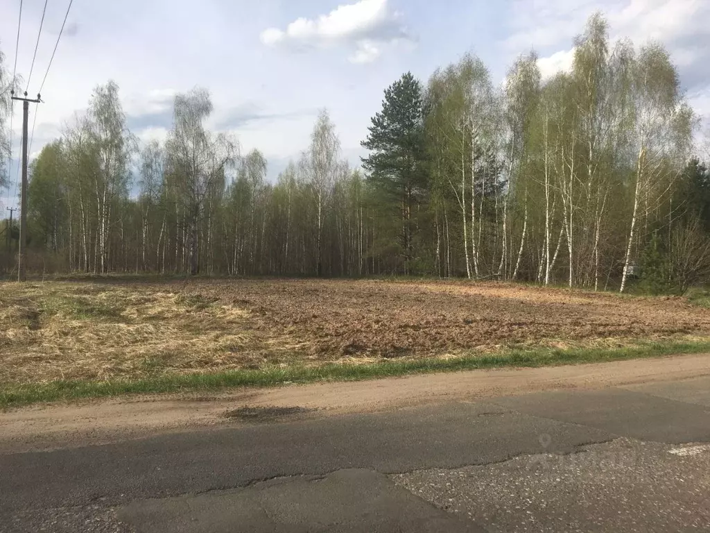 Участок в Ярославская область, Некрасовский муниципальный округ, д. ... - Фото 2