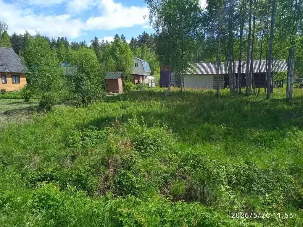 Участок в Ленинградская область, Приморск Елочка СНТ,  (10.0 сот.) - Фото 1