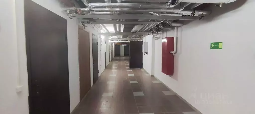 Помещение свободного назначения в Ростовская область, Ростов-на-Дону ... - Фото 1
