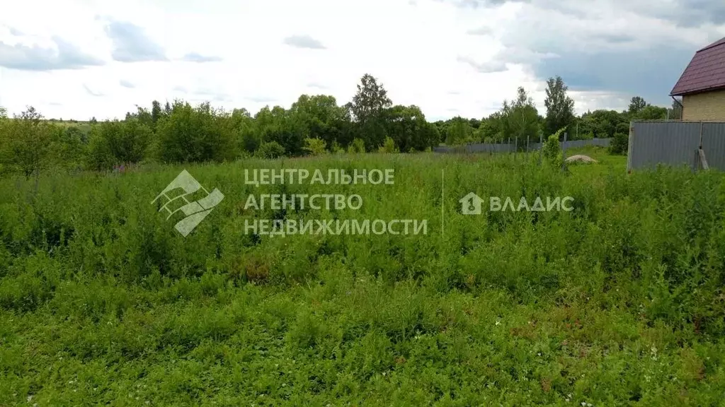 Участок в Рязанская область, Михайловский муниципальный округ, д. ... - Фото 0
