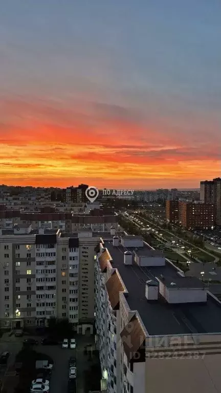 2-к кв. Саратовская область, Саратов просп. Героев Отечества, 3 (40.0 ... - Фото 1