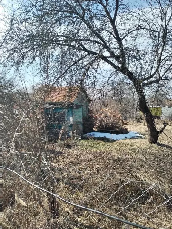 Дом в Брянская область, Брянский район, Супоневское с/пос, Рассвет СДТ ... - Фото 1