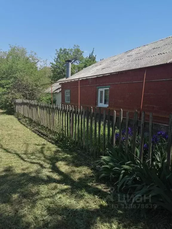 Дом в Ростовская область, Неклиновский район, с. Натальевка ул. ... - Фото 0