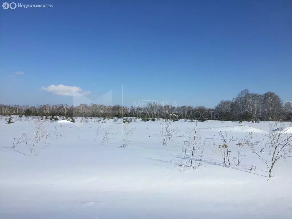 Участок в село Кулаково, Берёзовая улица (10 м) - Фото 0