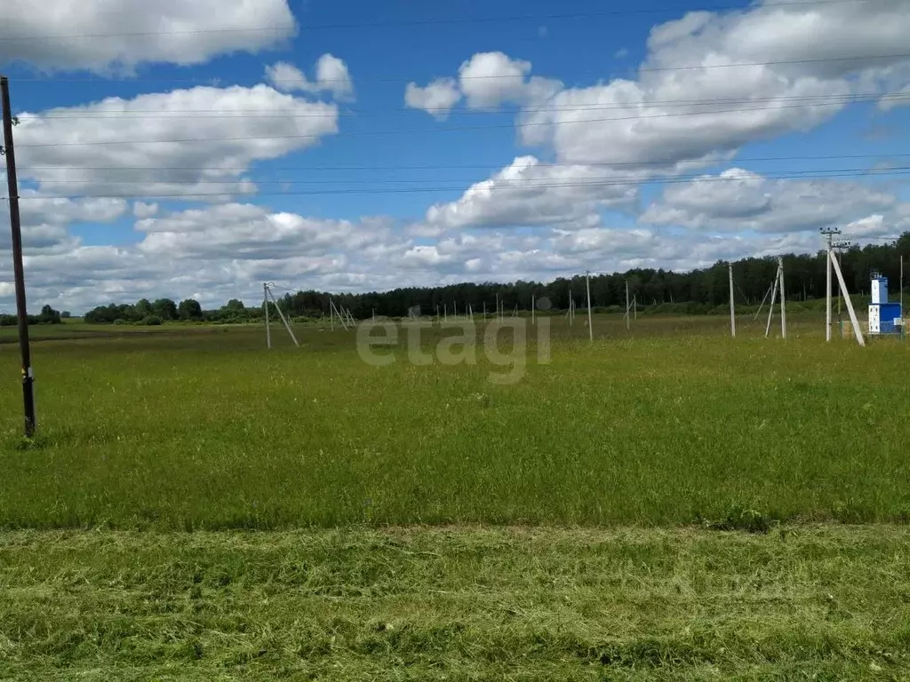 Участок в Тюменская область, Тюменский муниципальный округ, с. ... - Фото 2
