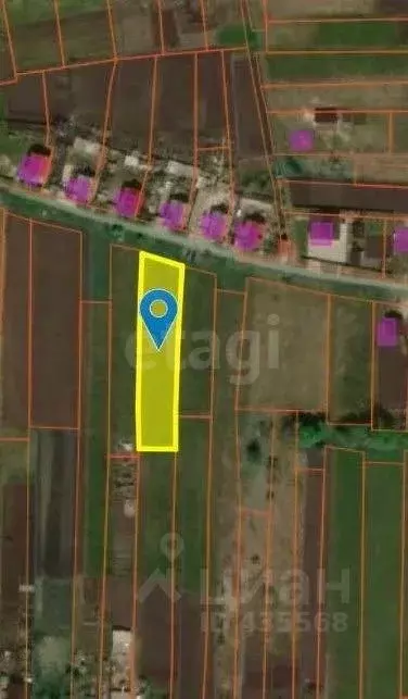 Участок в Белгородская область, Яковлевский муниципальный округ, с. ... - Фото 2