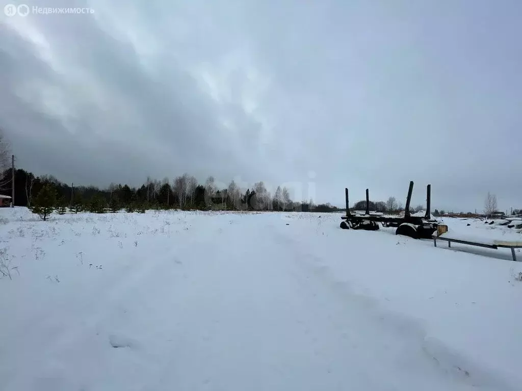 Участок в Тугулымский городской округ, деревня Филина, Молодёжная ... - Фото 1