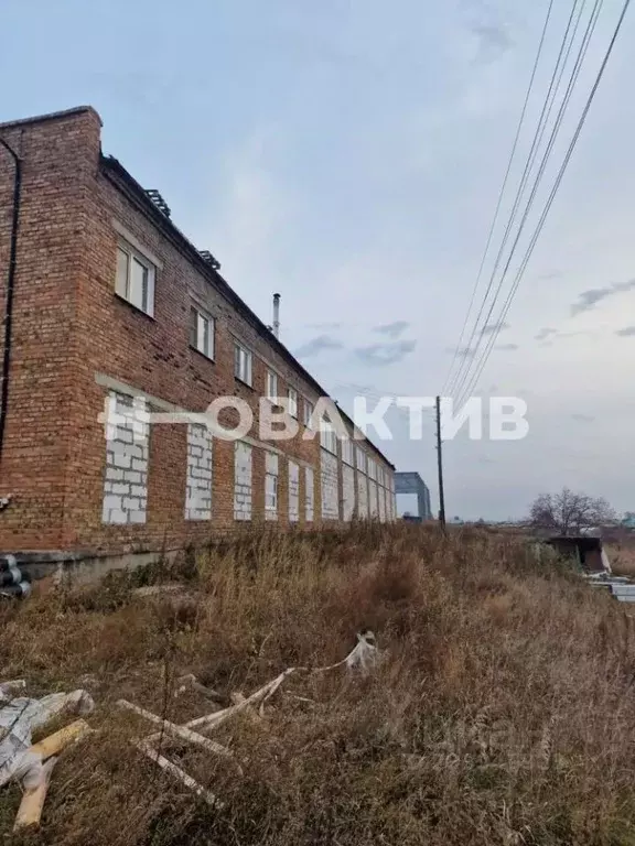 Производственное помещение в Новосибирская область, Колыванский район, ... - Фото 1