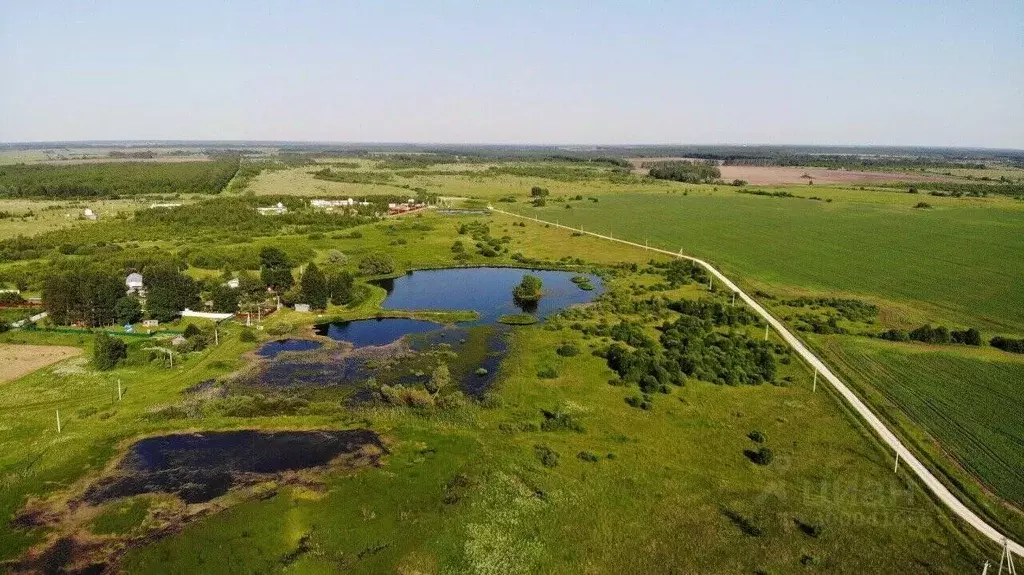 Участок в Тульская область, Заокский район, Демидовское с/пос, д. ... - Фото 1