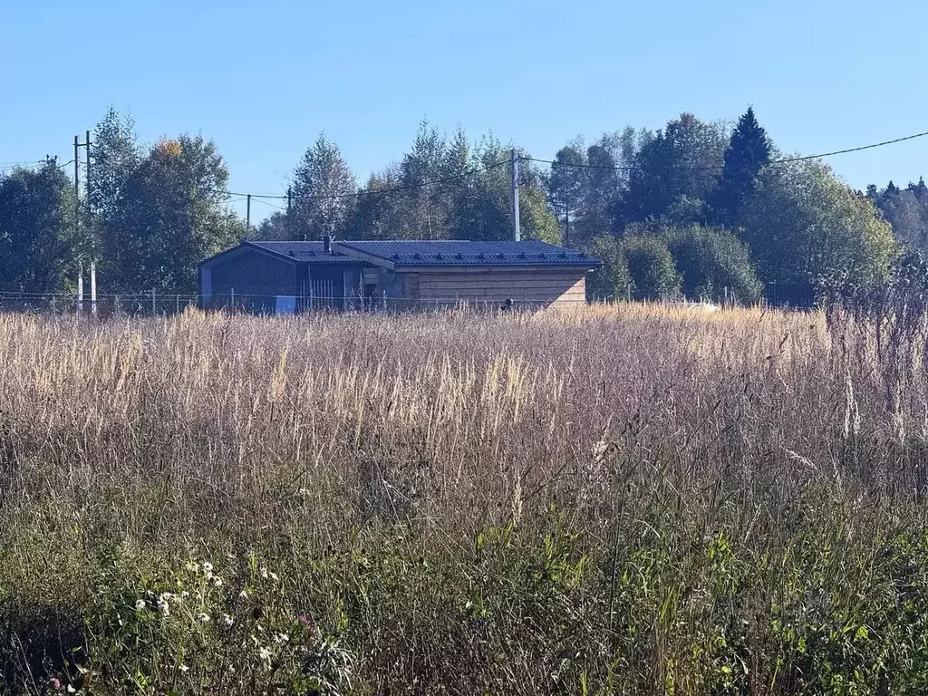 Участок в Московская область, Дмитровский муниципальный округ, ... - Фото 2