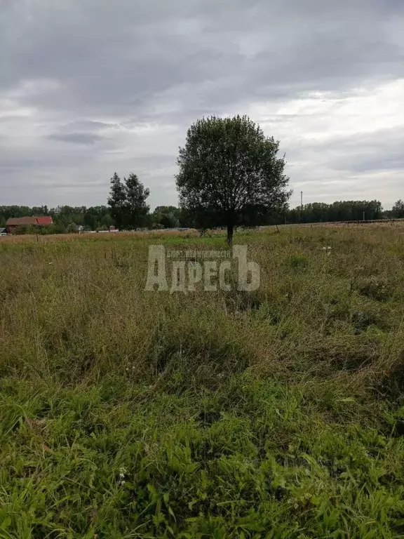 Участок в Калужская область, Жуковский район, Верховье с/пос, д. Трясь ... - Фото 0