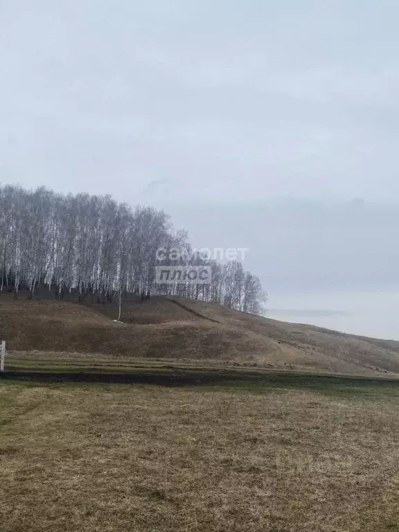 Участок в Башкортостан, Нуримановский район, Новокулевский сельсовет, ... - Фото 2
