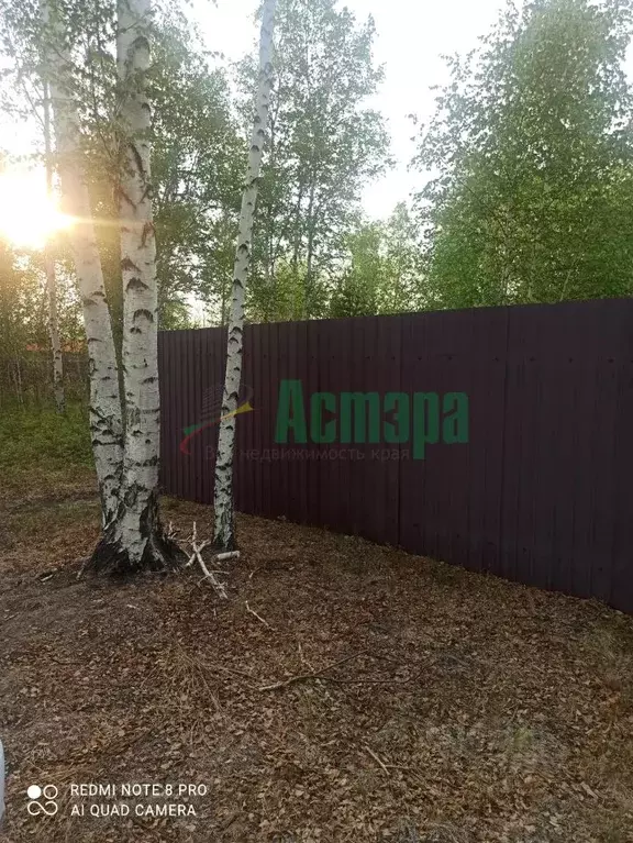 Дом в Забайкальский край, Читинский район, Угданское с/пос, Багульник ... - Фото 1
