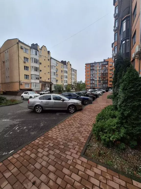 Свободного назначения, 60 м - Фото 0