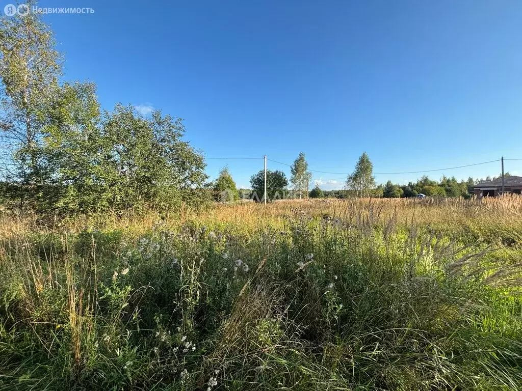 Участок в Ивановский район, Куликовское сельское поселение, деревня ... - Фото 0