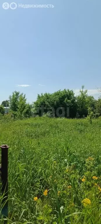 Участок в Санниково, СНТ Овощевод, Главная улица (6.4 м) - Фото 1