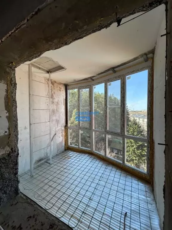 3-к кв. Алтайский край, Бийск ул. Александра Радищева, 1/2 (89.4 м) - Фото 0