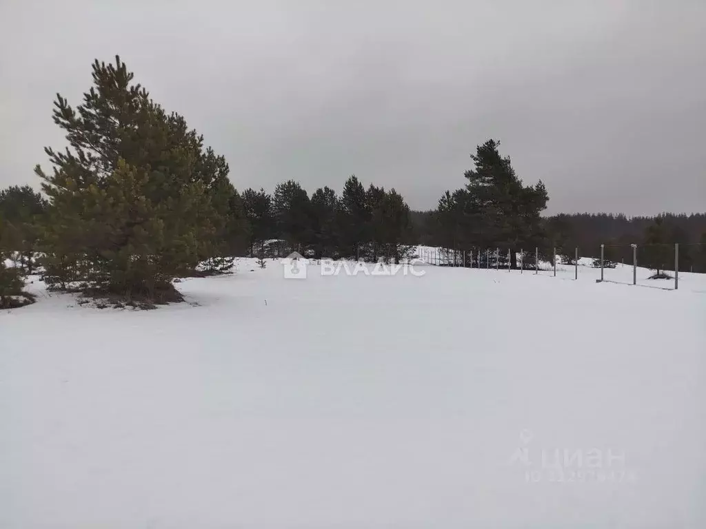 Участок в Пензенская область, Бессоновский район, Сосновский ... - Фото 0