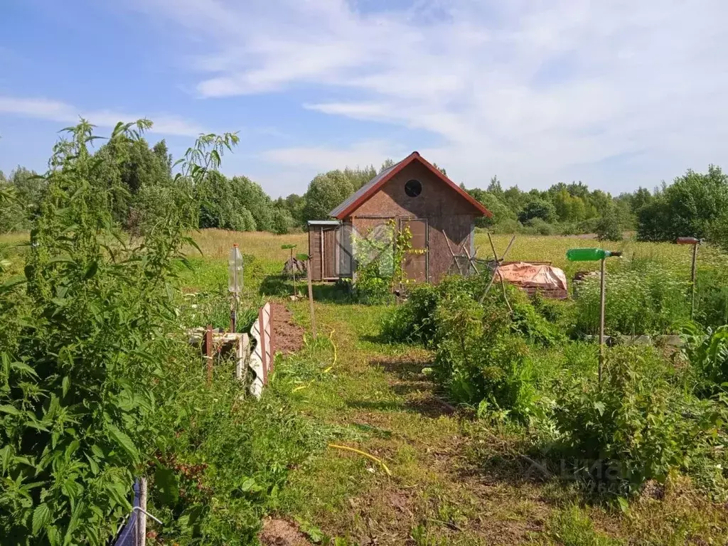 Дом в Псковская область, Локнянский муниципальный округ, д. Старостино ... - Фото 1