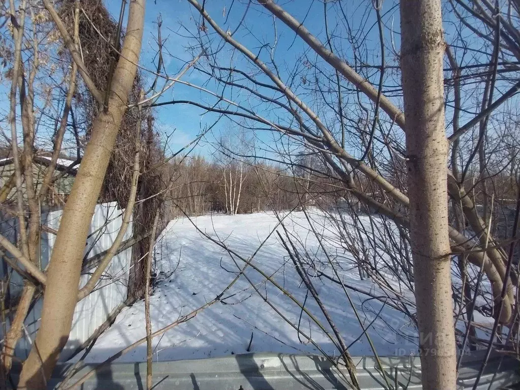 Участок в Московская область, Люберцы городской округ, д. Пехорка  ... - Фото 2