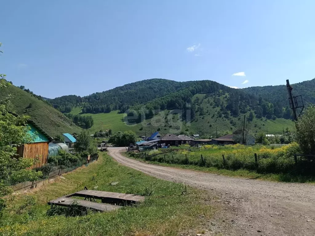 Участок в Алтай, Майминский район, с. Бирюля Центральная ул. (7.8 ... - Фото 1