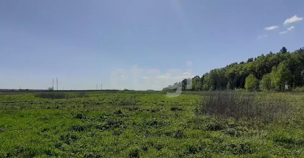 Участок в Брянская область, Стародуб Заря садоводческое товарищество,  ... - Фото 0