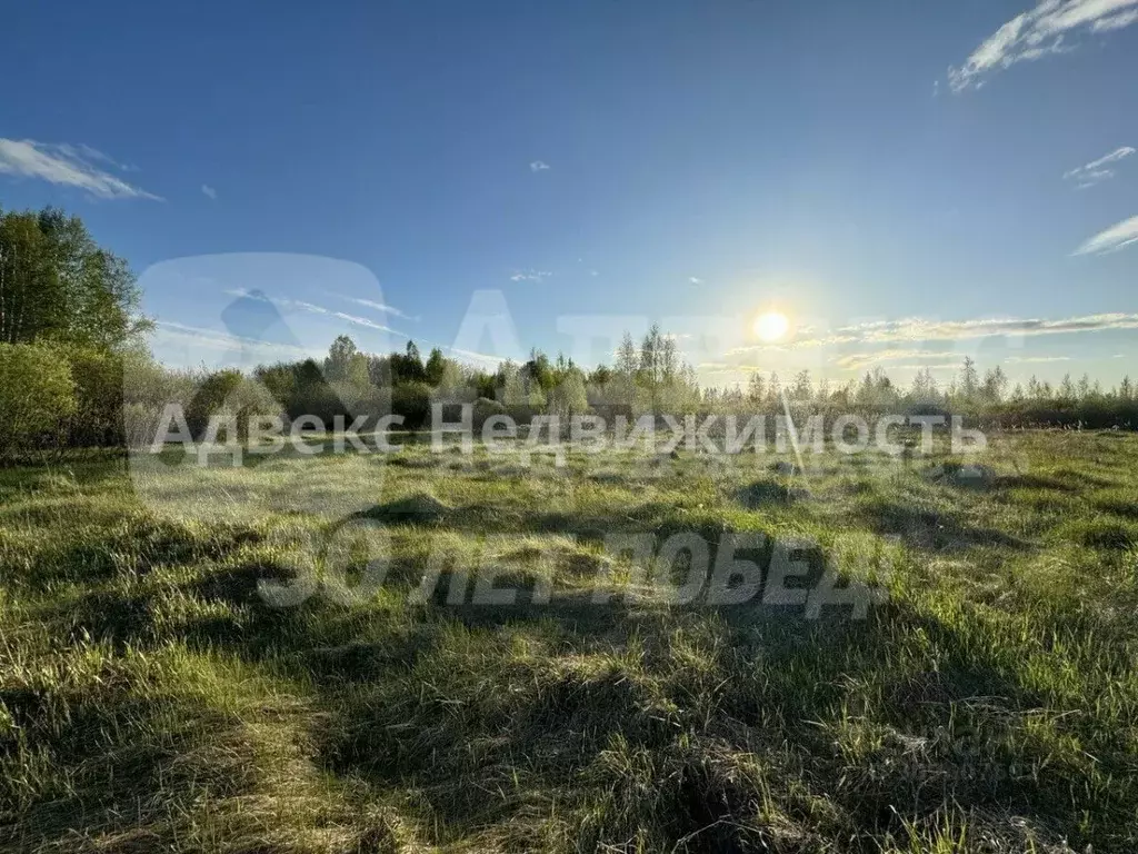 Участок в Тюменская область, Тюменский район, с. Каменка  (6.51 сот.) - Фото 2