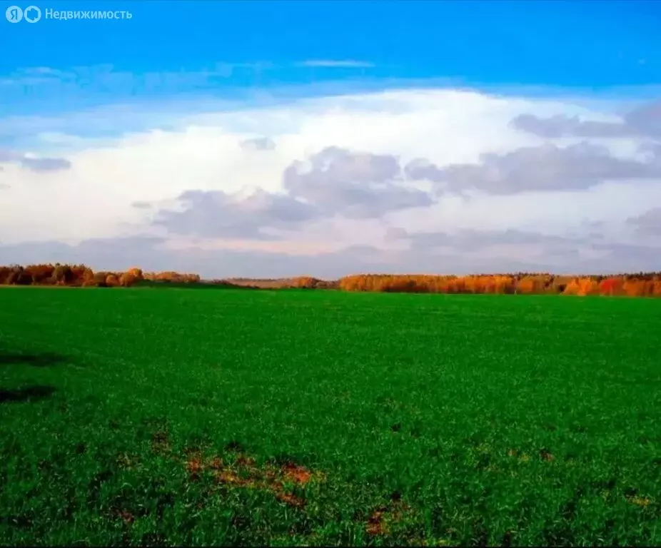 Участок в Воткинск, Вербная улица (6 м) - Фото 1