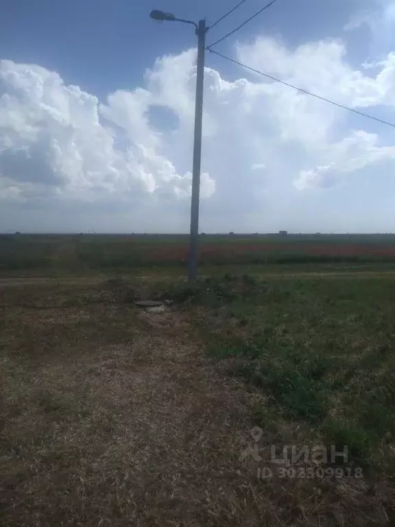 Участок в Крым, Раздольненский район, Славновское с/пос, с. Стерегущее ... - Фото 1