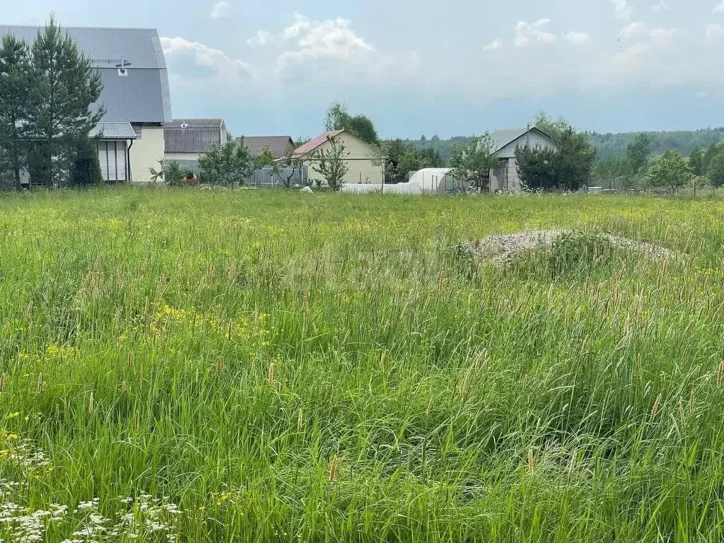 Участок в Калужская область, Медынский район, Брюхово с/пос, с. Егорье ... - Фото 1
