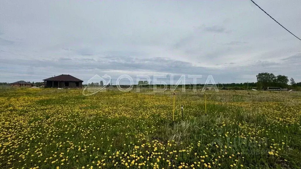Участок в Тюменская область, Тюменский район, с. Перевалово ул. ... - Фото 2