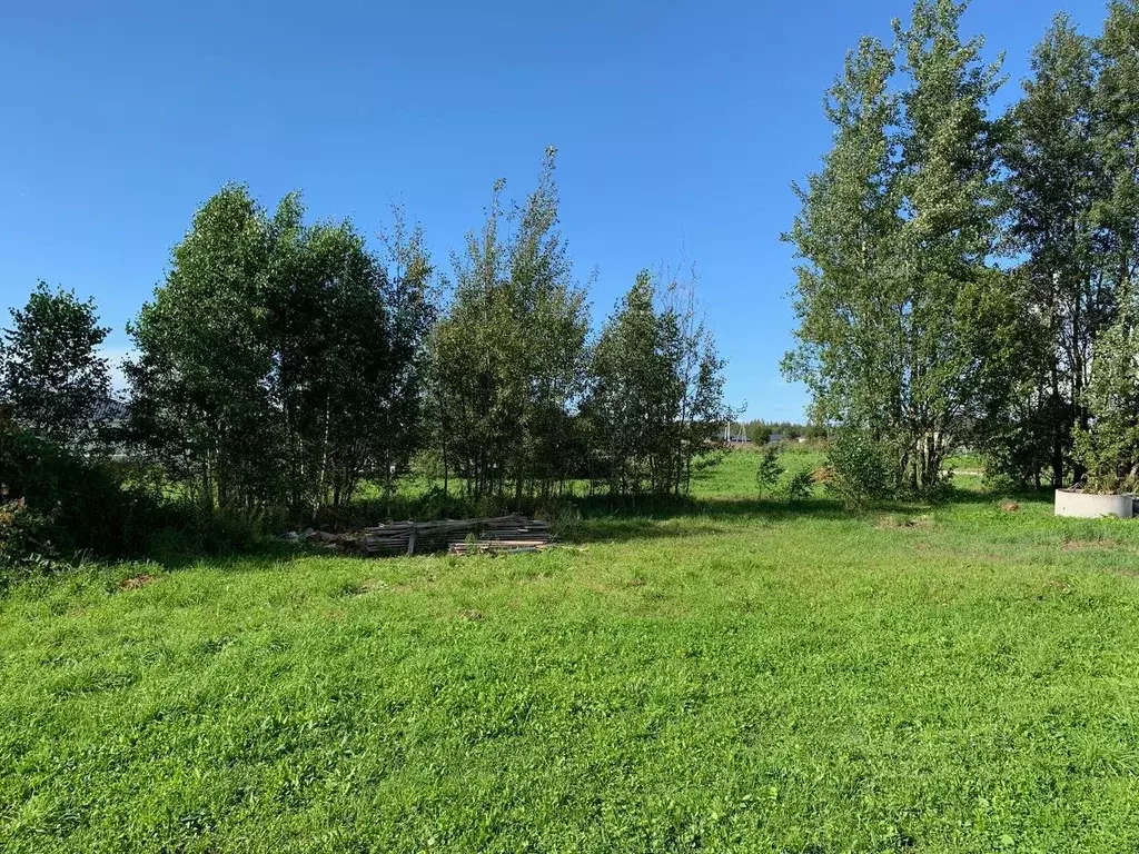 Участок в Псковская область, Псковский район, Логозовская волость, д. ... - Фото 2