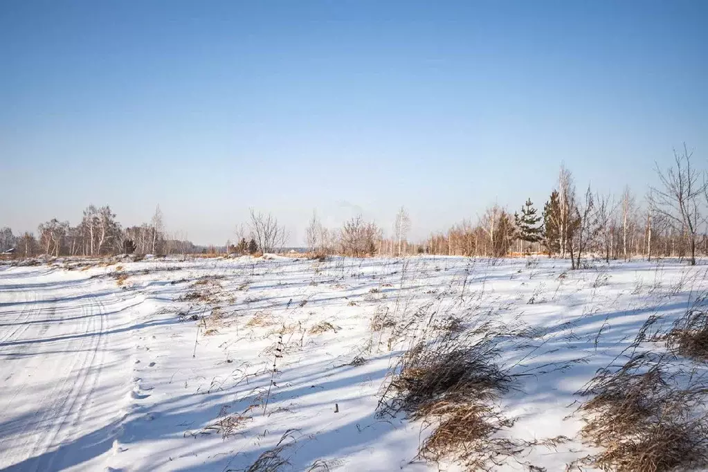 Участок в Новосибирская область, Бердск  (10.0 сот.) - Фото 0