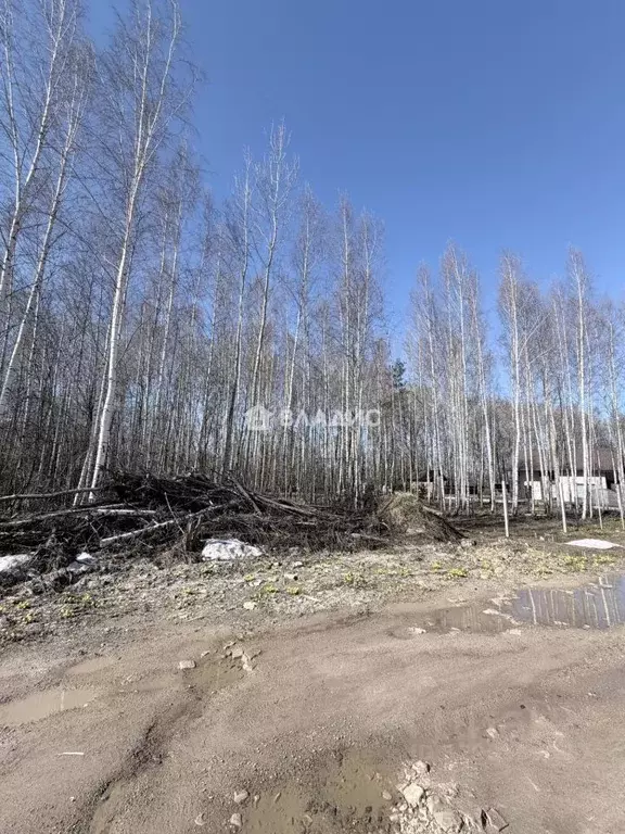 Участок в Нижегородская область, Нижний Новгород д. Черемисское, ... - Фото 2