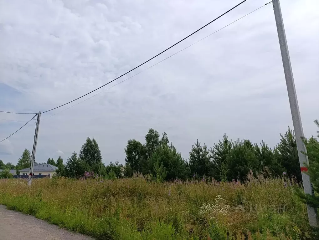 Участок в Московская область, Раменское ул. Августовская, 19 (6.0 ... - Фото 1