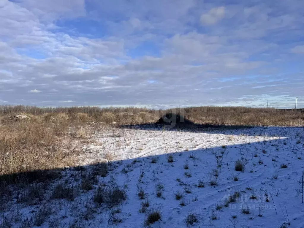 Участок в Тюменская область, Тюмень ул. Давыдова, 21Б (7.0 сот.) - Фото 1