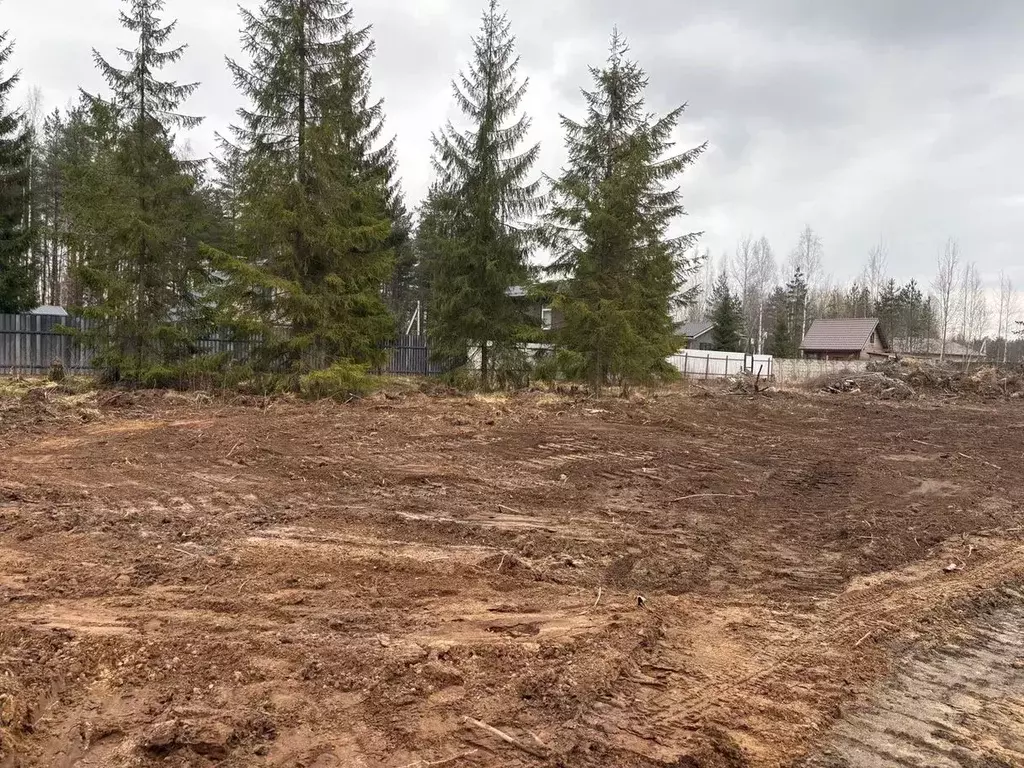 Участок в Ленинградская область, Всеволожское городское поселение, ... - Фото 2