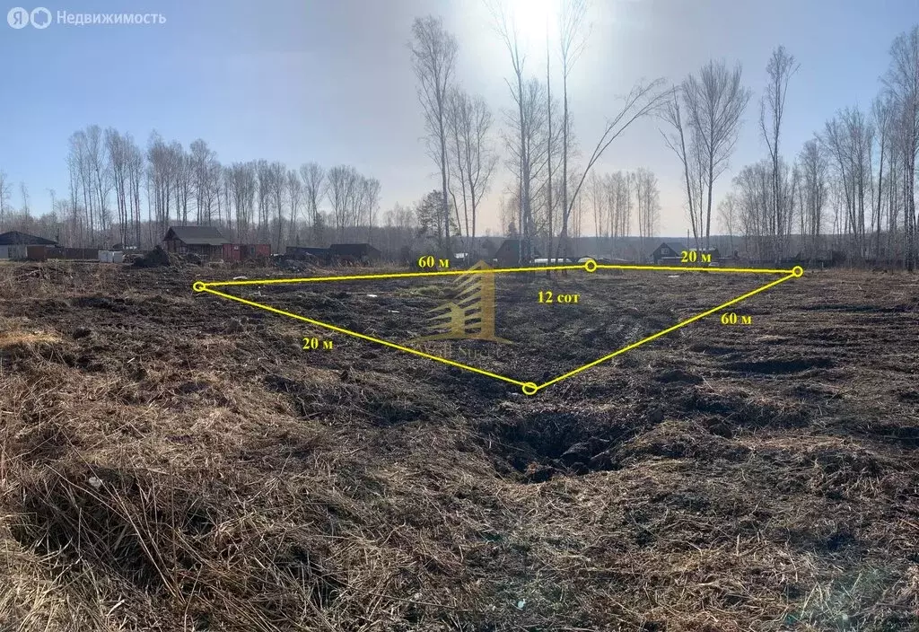 Участок в Барышевский сельсовет, садоводческое некоммерческое ... - Фото 0