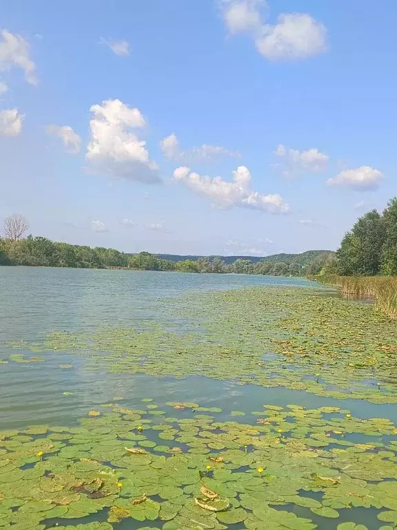 Дом в Самарская область, Волжский район, Рождествено с/пос, с. ... - Фото 1