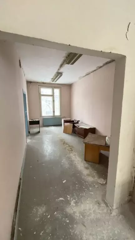 Помещение свободного назначения в Ленинградская область, Выборгский ... - Фото 1