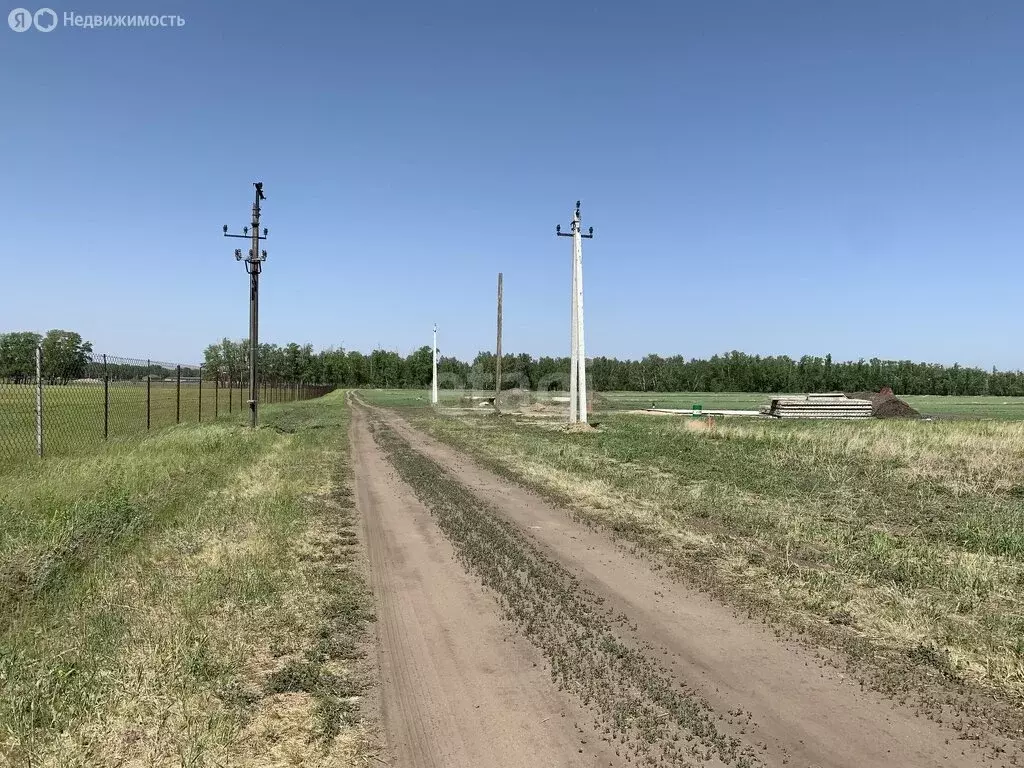 Участок в село Усть-Заостровка, Луговая улица (15.7 м) - Фото 2