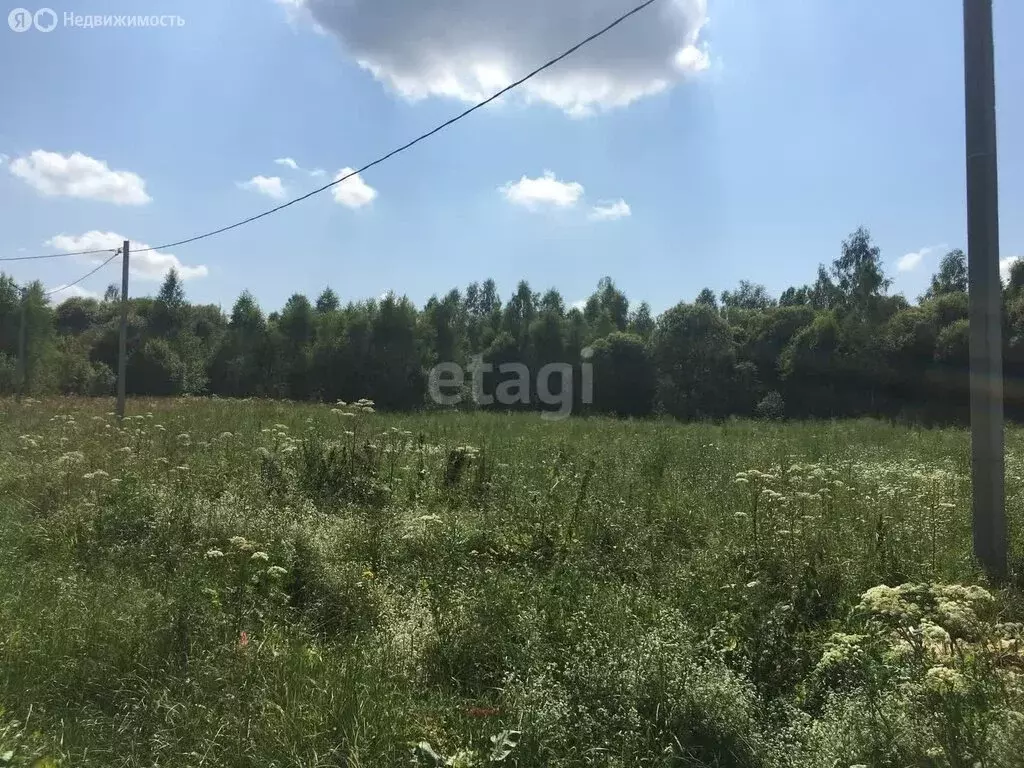 Участок в Калужская область, Бабынинский муниципальный округ, сельское ... - Фото 1