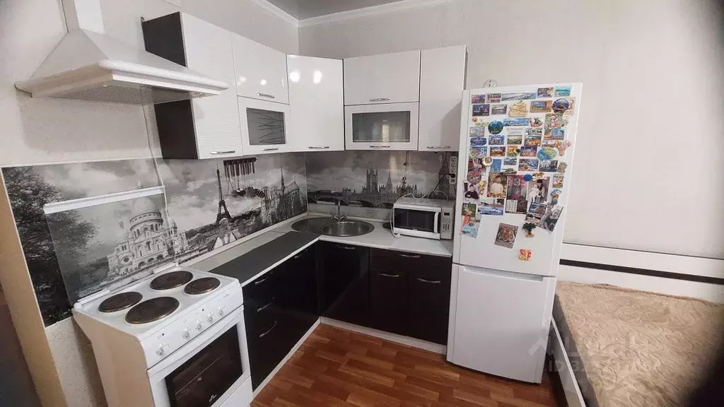 Студия Пензенская область, Пензенский район, Засечный сельсовет, с. ... - Фото 2